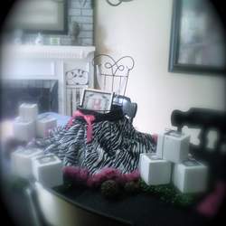 Tween Girls Night In - Pink/Zebra Theme