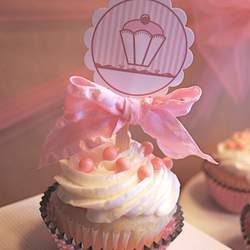 Bakery Dessert Setup - None