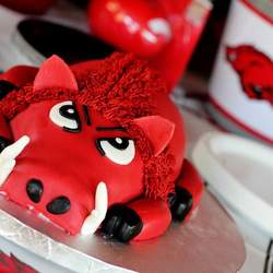 Hog Wild 1st Birthday - Arkansas Razorbacks