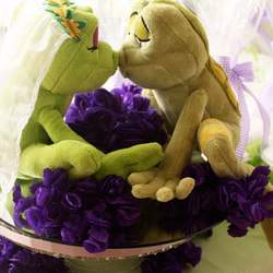 Bruna's Party - PRINCESS AND THE FROG