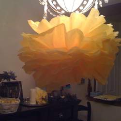 Brielle's Baybee Shower - Bee 