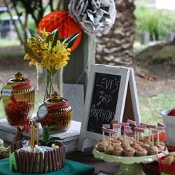 Levi's 3rd Birthday-  - Vintage, eclectic, outdoors