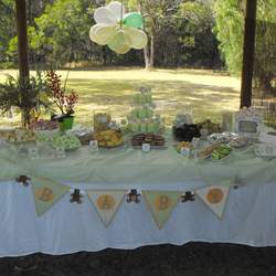 Jade's Baby Shower - Green, Apricot and Cream
