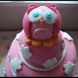Owl/Butterfly 1st Birthday Party - Owl/Butterfly