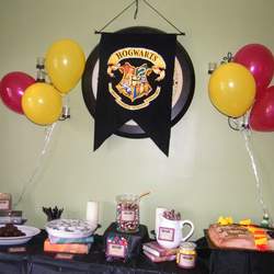 Hayden's 8th Bday Party - Harry Potter
