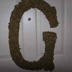 Clair's Baby Shower - Nature Style