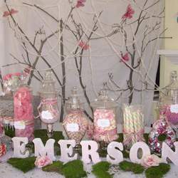 Emerson's 1st Birthday! - Pirates & Fairies