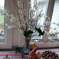 Easter Egg Hunt - None
