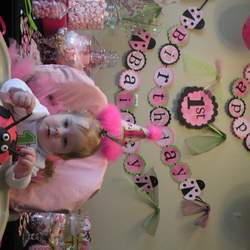 Bailey's 1st Birthday - Pink Ladybugs