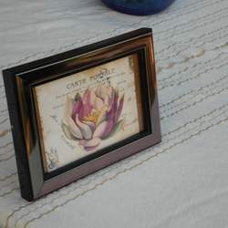 Shauna is 30 - Pink & Purple Water Lily