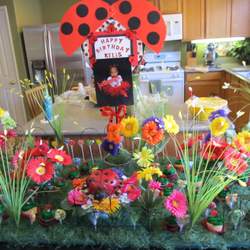 Kelis 1st Birthday - Lady Bug Garden 
