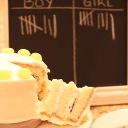 Gender Reveal Party - Boy or Girl?