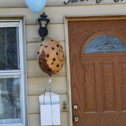 Cookie Monster - Jael turns 2! - None