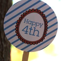 4th of July Picnic Party - 4th of July Party