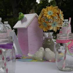 Sweet Tweet Baby Shower - Birds / Feathers / Nest