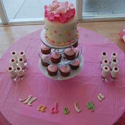Lisa's Baby Shower - None