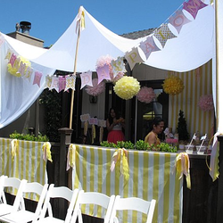 Paloma's 3rd Birthday Princess Soiree - Sunshine Princess