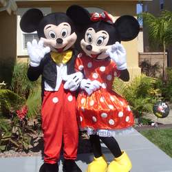 Dj Party Package - Disney Mr. & Mrs. Mouse