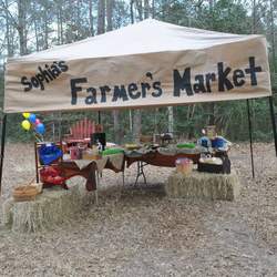 Sophia's Barnyard Bash! - Farm party