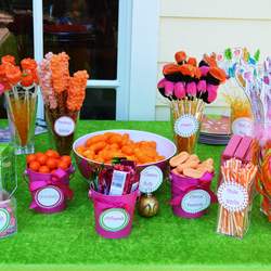 Pink Orange and Green girls Birthday Party - Princess Tea Party