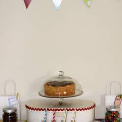 Diary of a Wimpy Kid - Boy's birthday party
