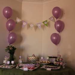 Fairy Party   - Fairy Party