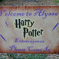 Harry Potter Extravaganza - Harry Potter
