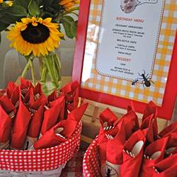 Noah's 1st Birthday  - Picnic, Pennants & Pinwheels