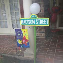 Madison's 2nd Sesame Street Party - Sesame Street