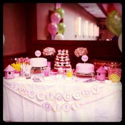 Sweet/Tweet Baby Girl Party - Birds / Feathers / Nest