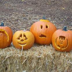 Pumpkin Carving Party - Pumpkin Carving Party