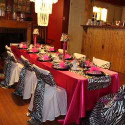 Holly's 2nd - Pink/Zebra Theme