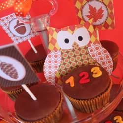 Back to school - Owls' school