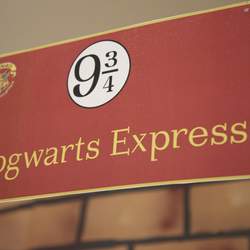 Rin's 21st "Harry Potter" Birthday.  - HOGWARTS / Harry Potter