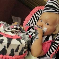 Diva Birthday  - Zebra and hot pink
