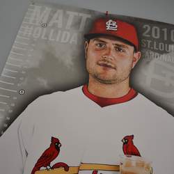 "Take Me Out to the Ballgame" Baseball Party - St. Louis Cardinals baseball