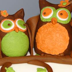 Mom and daughter's birthday party - Owls/Fall