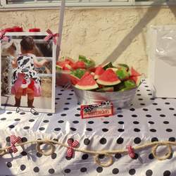 Bianca"s 1st Birthday - Farm/Barnyard
