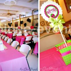 "Bugaboo Baby!" Shower - Pink & green Ladybugs
