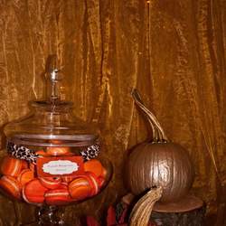 Fall Bat Mitzvah - None