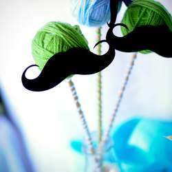 Oh Snap Baby Shower - Photography 