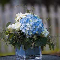 Baby Boy Baptism Luncheon - Blue Hydrangea