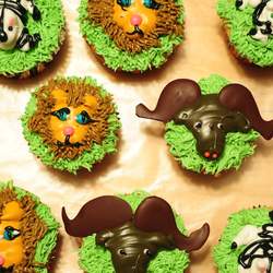 Cupcakes - None
