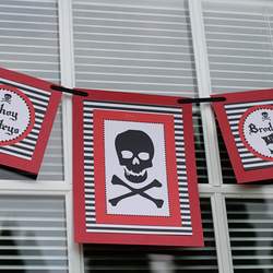 Pirate Party - Pirate Party