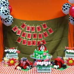 Farm Theme Birthday Party - Farm Theme