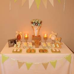 Mint Green + Teal Gender Reveal Party - Gender Reveal Party