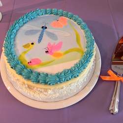 Baby Shower for a friend - Boy or Girl it's any-buggys guess!