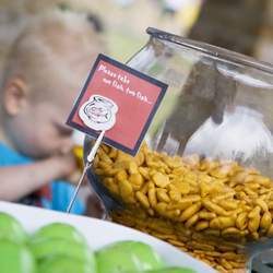 Kelton's 3rd Birthday - Dr. Seuss 