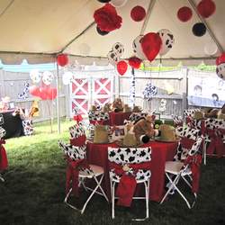 Ricky's Barnyard Bash! - Farm, Barnyard