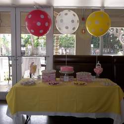 Sienna's Baptism Reception - Pink, yellow, owls